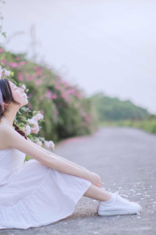 新美人计泰剧